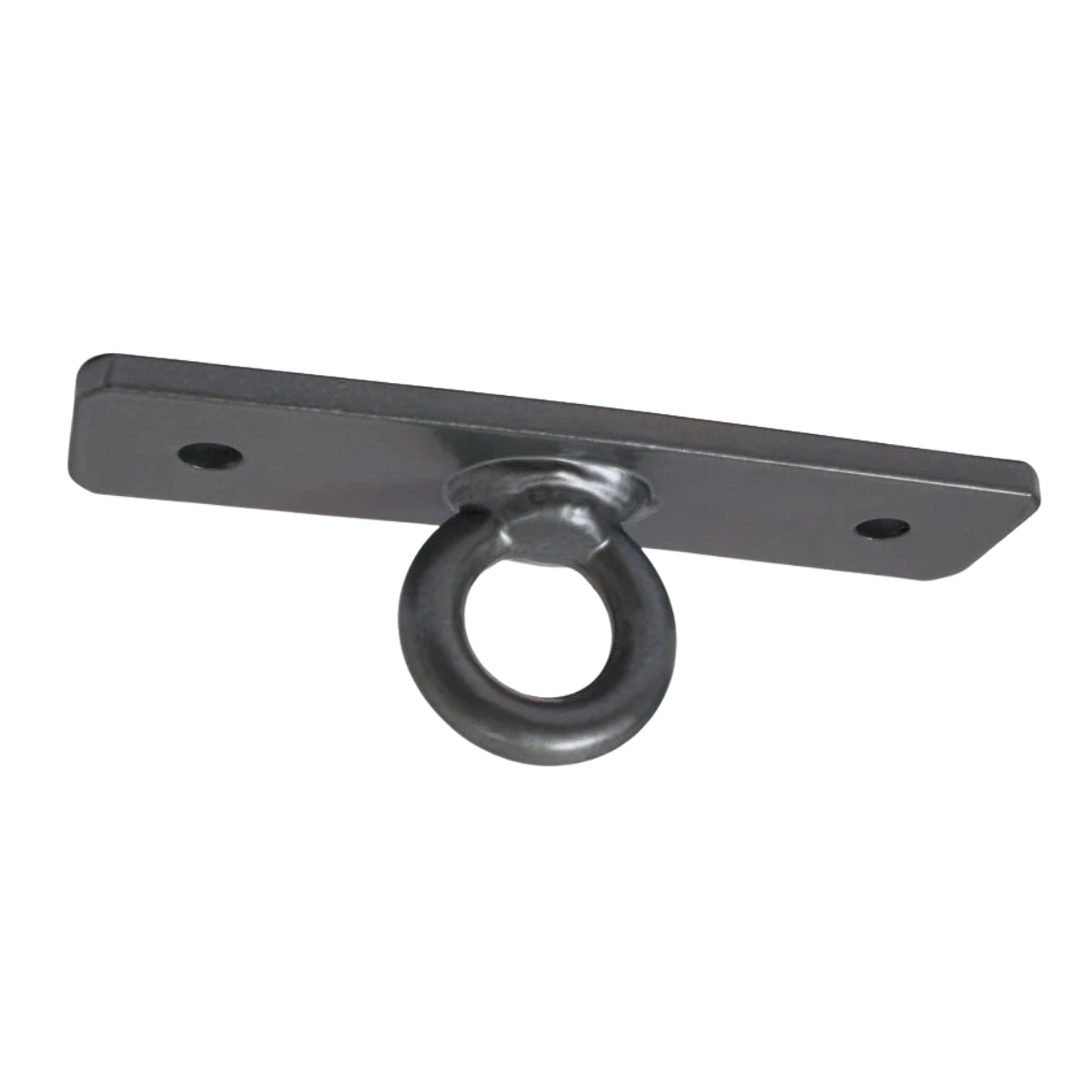 ProBoxing® Heavy Duty Ceiling Mount