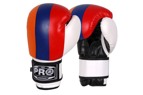 ProBoxing® Series Deluxe Starter Boxing Gloves - Armenian Flag