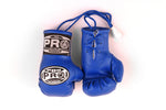 ProBoxing® Mini Gloves